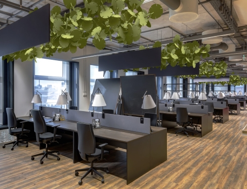 The Sustainable Choice: Fräsch Ceiling Panels